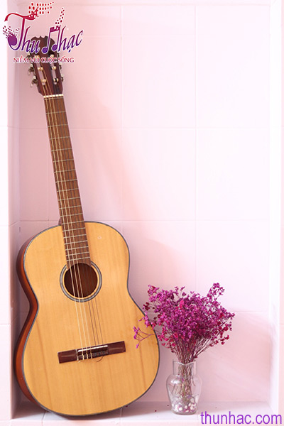 mua guitar acoustic giá rẻ tphcm