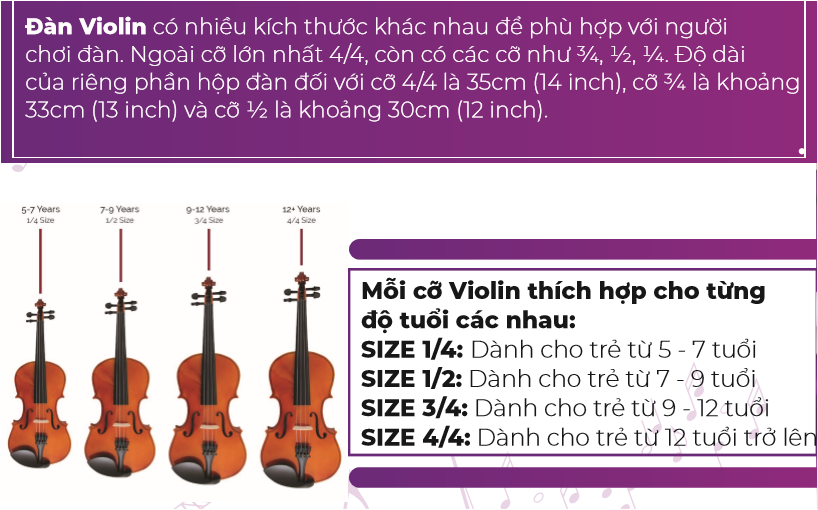 size của cây đàn violin