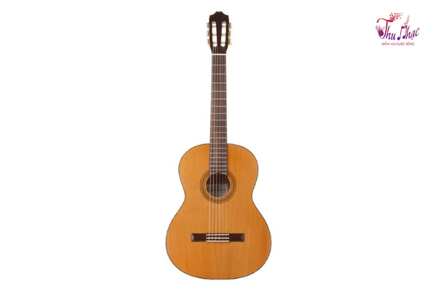 Mặt đàn guitar classic Cordoba C3M