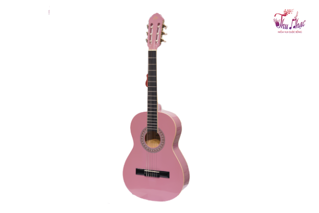 Mặt trước đàn guitar classic Eko Hồng