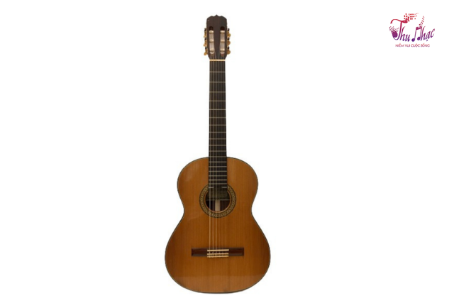 Mặt trước đàn guitar classic Eko Roberto V75