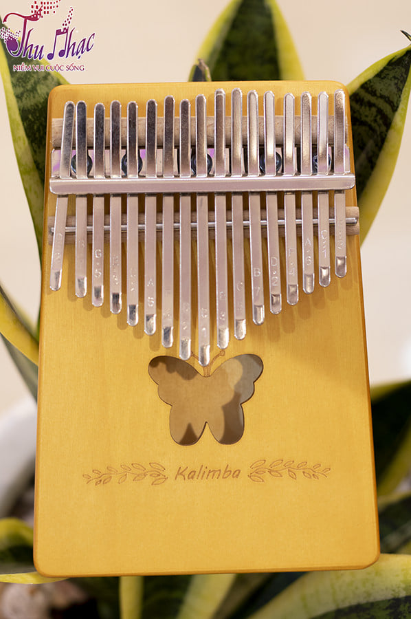 Mua đàn kalimba cho bé chất lượng