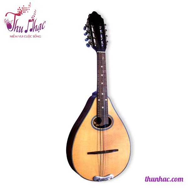 Đàn mandolin chính hãng giá rẻ