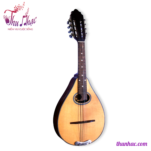 Đàn mandolin chất lượng giá rẻ