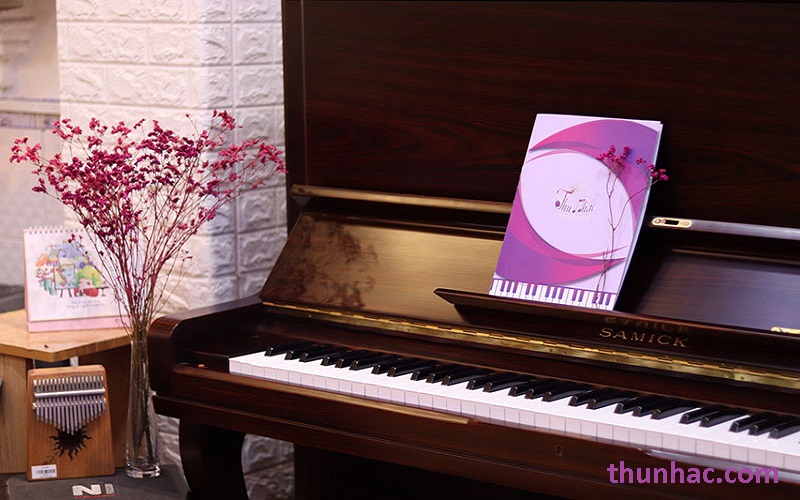 mua đàn piano cơ tphcm