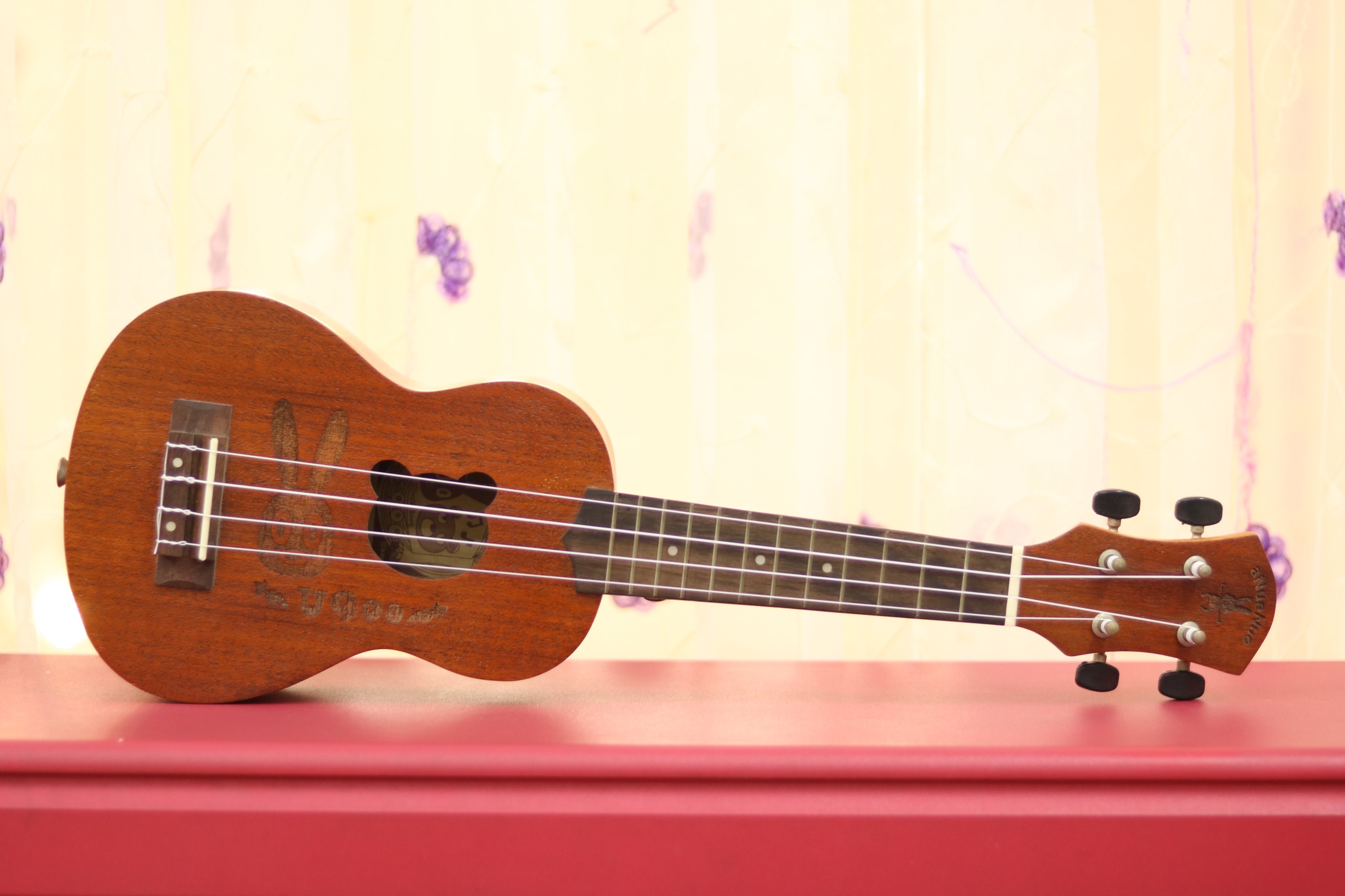 Đàn ukulele giá rẻ tại Thu Nhạc