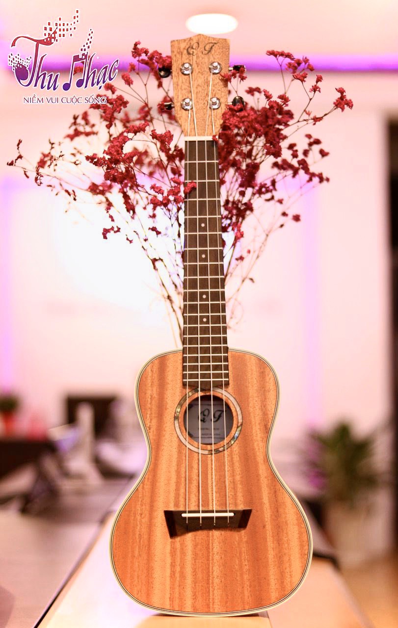 Mua đàn ukulele quận 8 chất lượng ở đâu