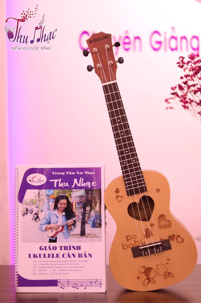 Địa điểm mua bán đàn ukulele Phú Nhuận chất lượng