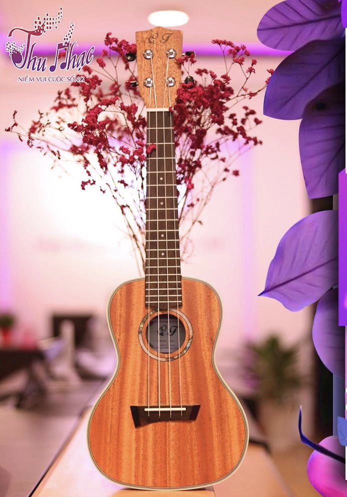 Địa điểm mua đàn ukulele Phú Nhuận uy tín