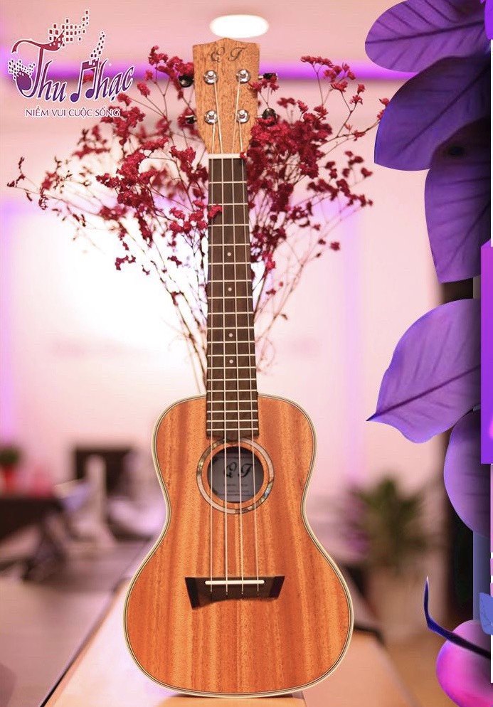 Mua đàn ukulele concert quận 4