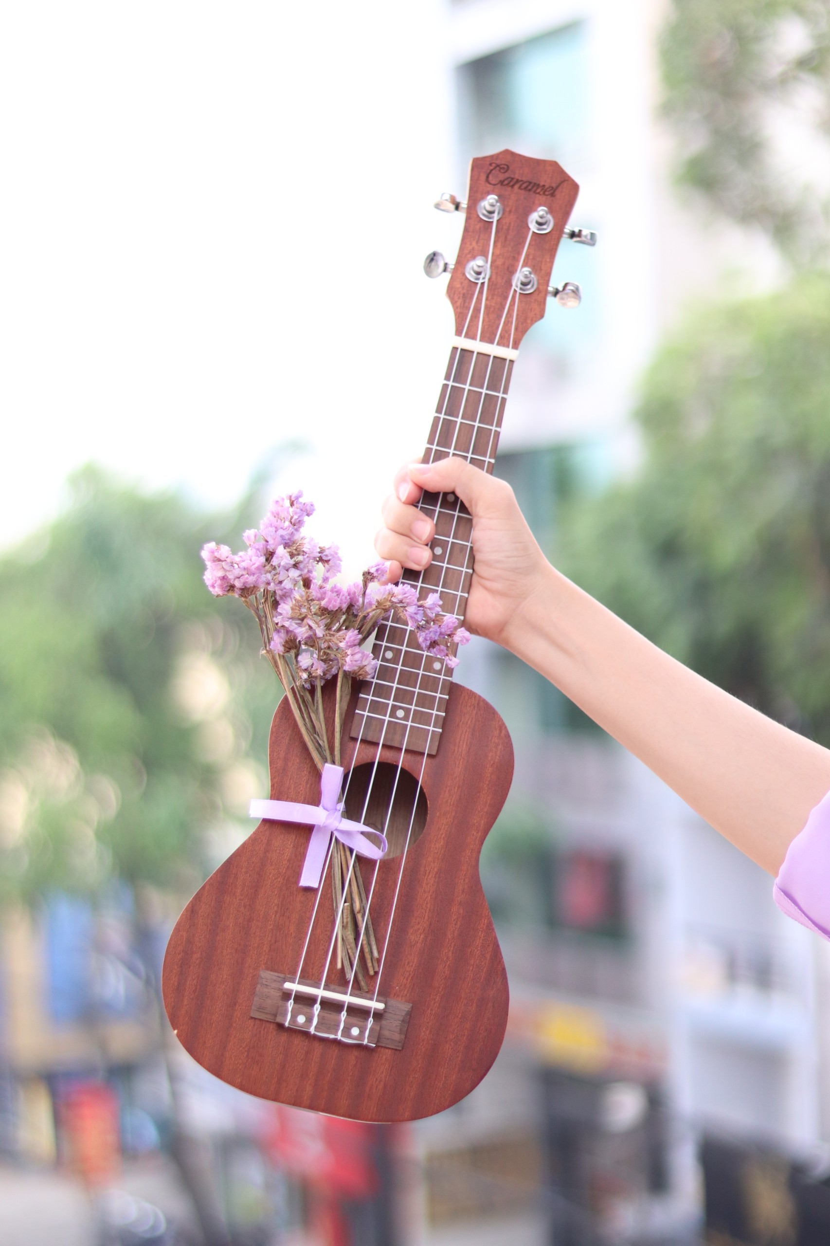 Shop bán đàn ukulele tại quận 8 chính hãng