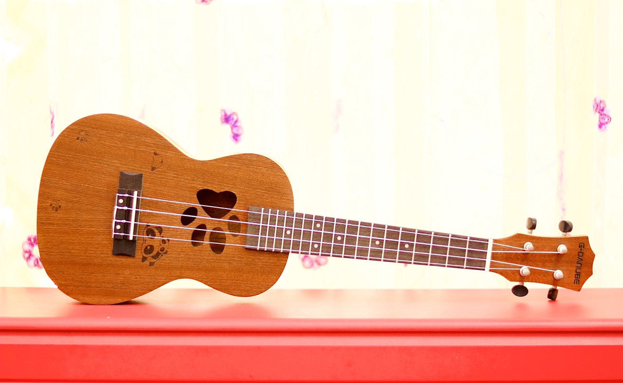 Đàn ukulele họa tiết gỗ giá rẻ quận 9