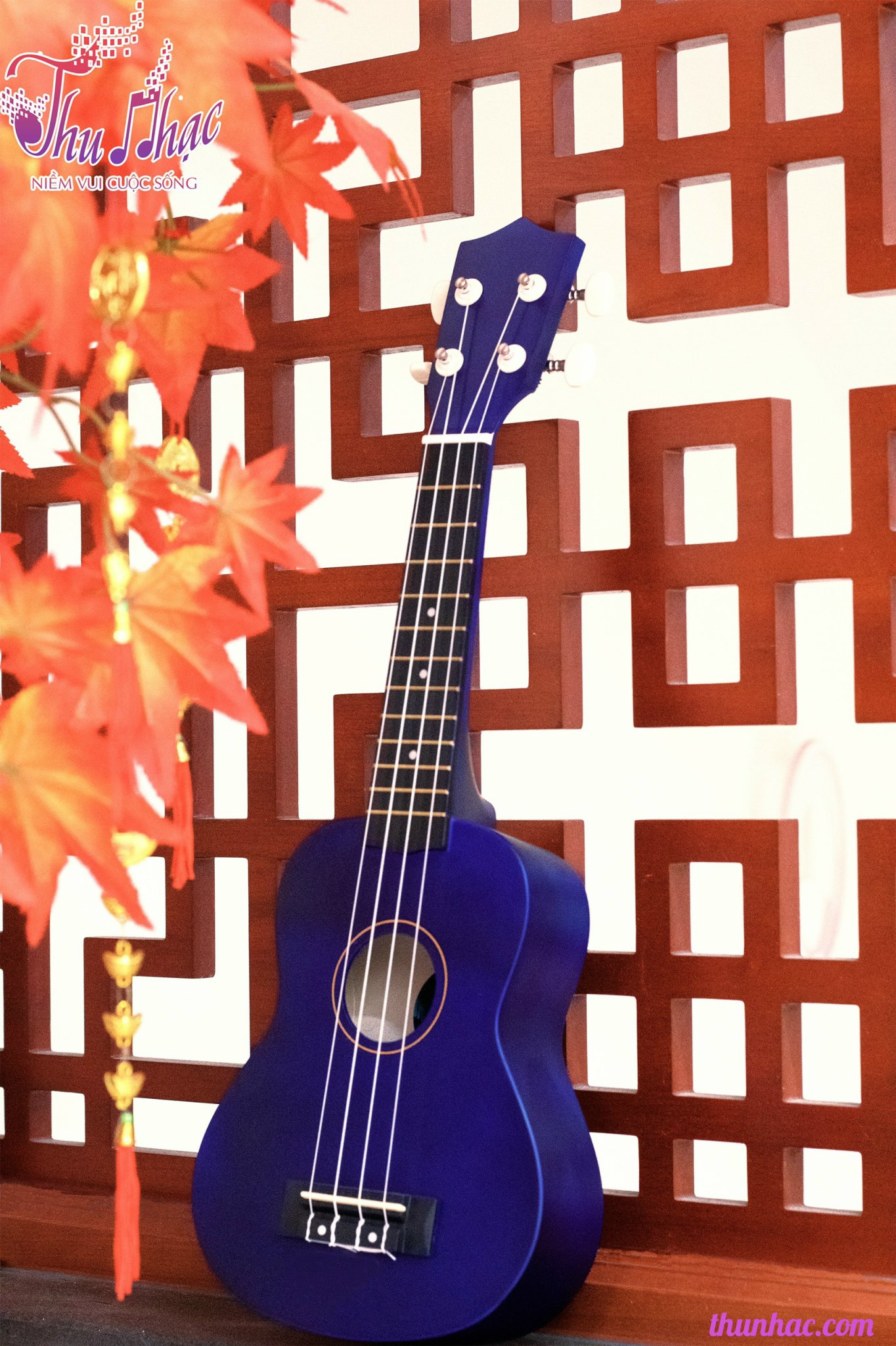 Shop bán đàn ukulele Concert quận 7 giá tốt