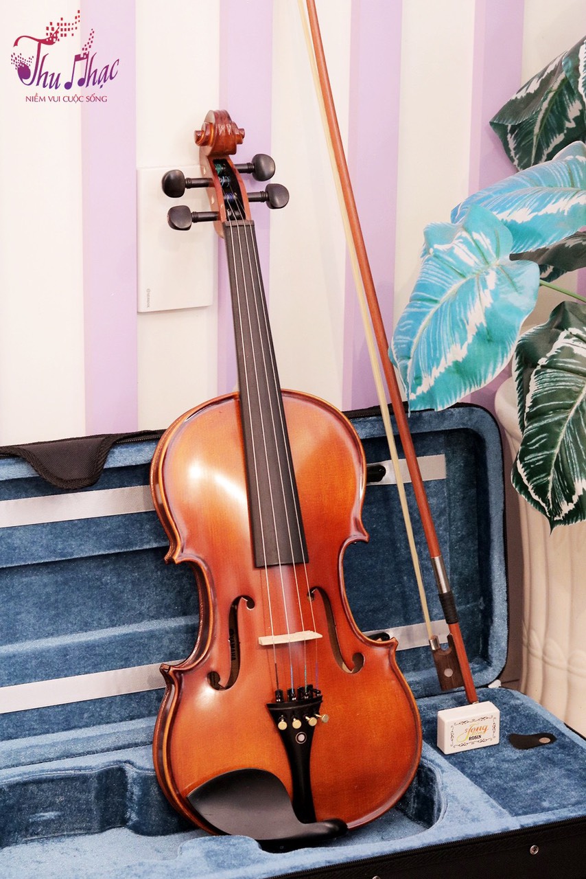 Đàn violin chính hãng giá rẻ