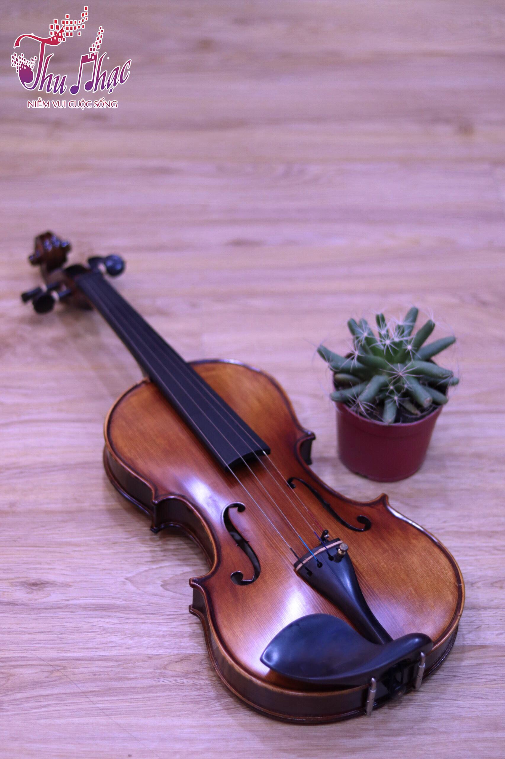  tìm hiểu cách thay dây đàn Violin