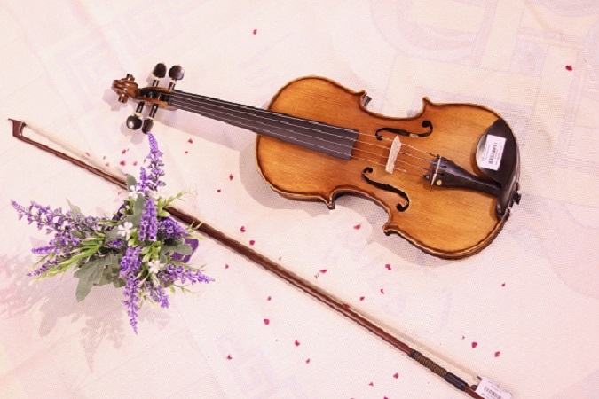 cây vĩ kéo đàn violin