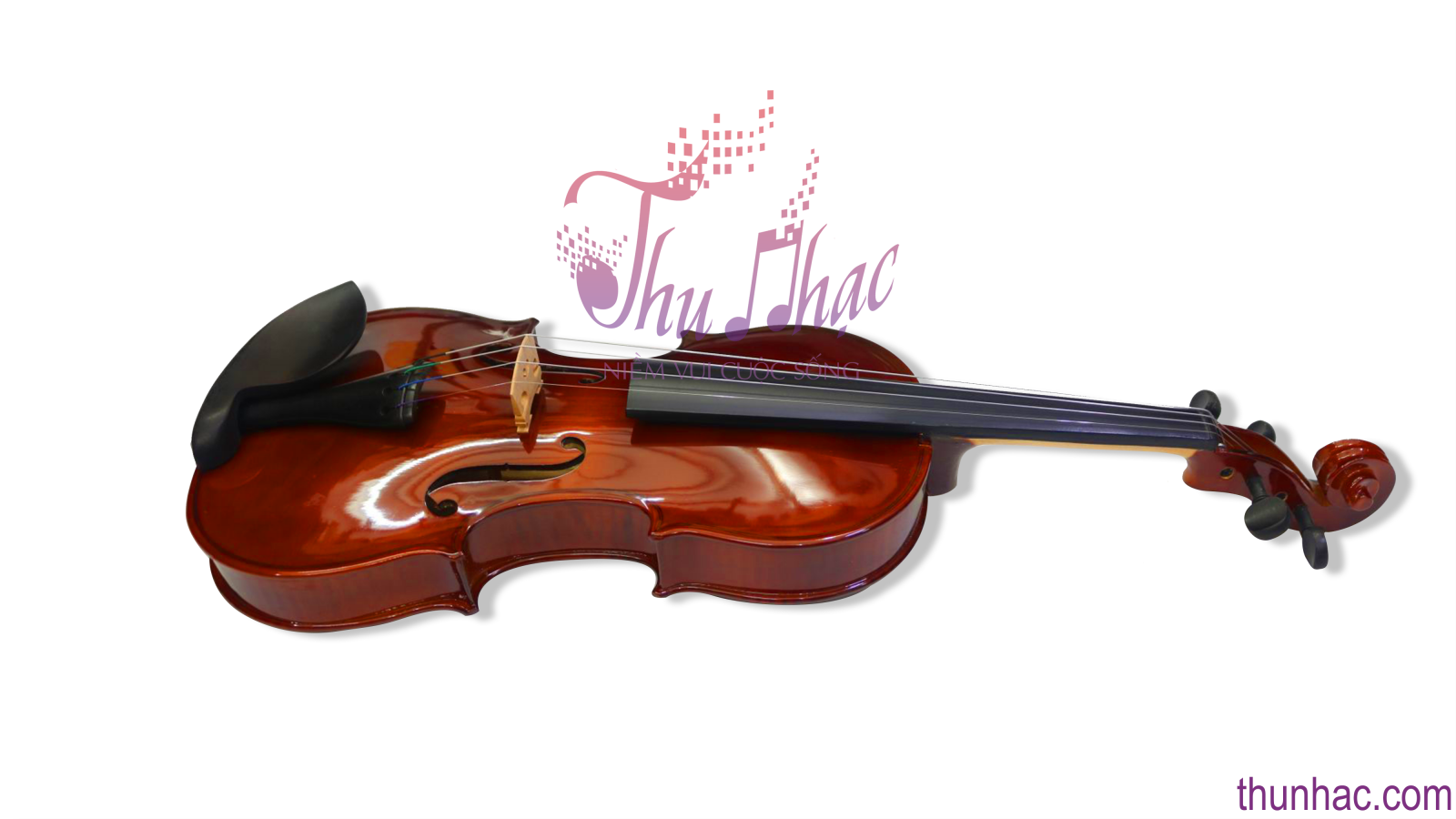 Mua đàn violin Kapok Bình thanh chính hãng giá rẻ