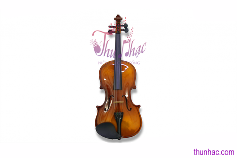 Nơi bán đàn violin quận 1 chính hãng cho người mới