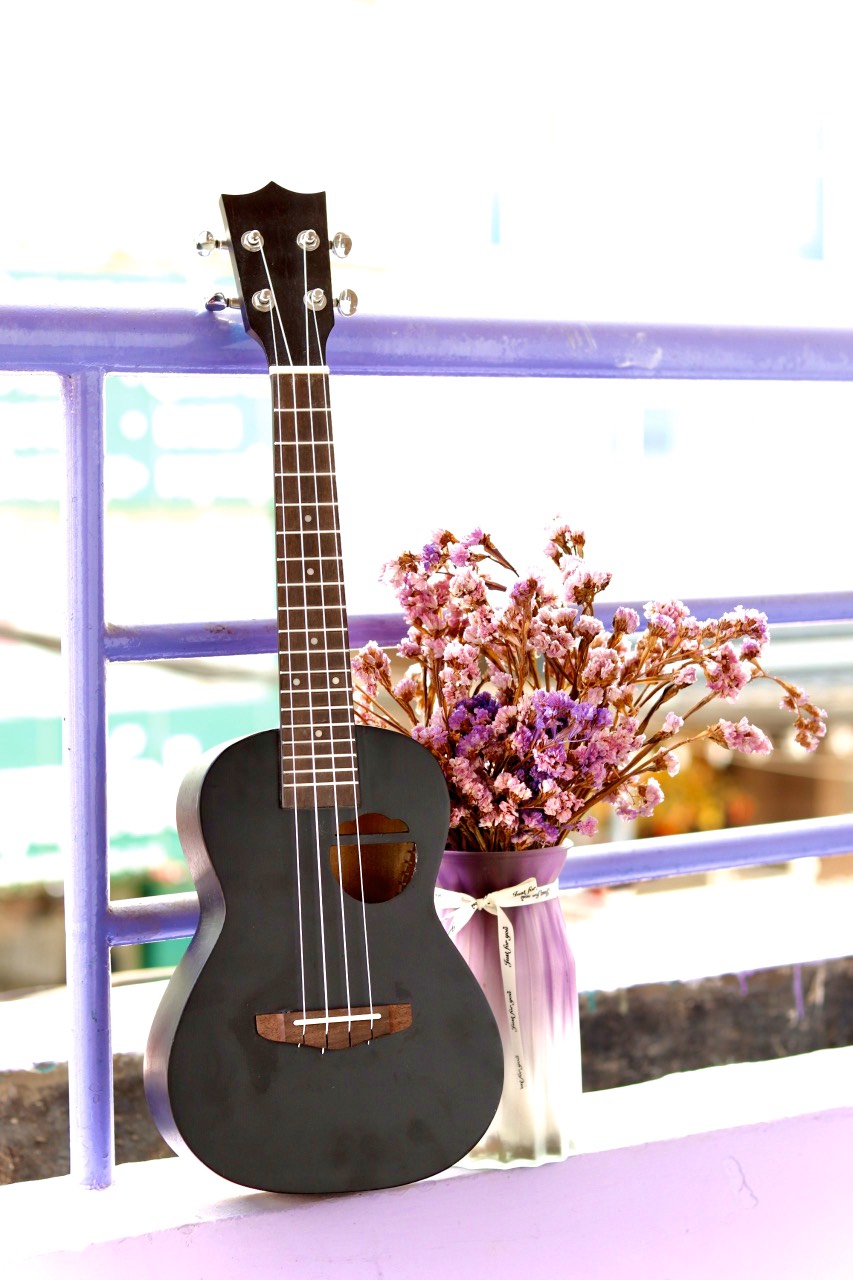 Địa điểm mua đàn Ukulele tại quận Tân bình TPHCM giá rẻ