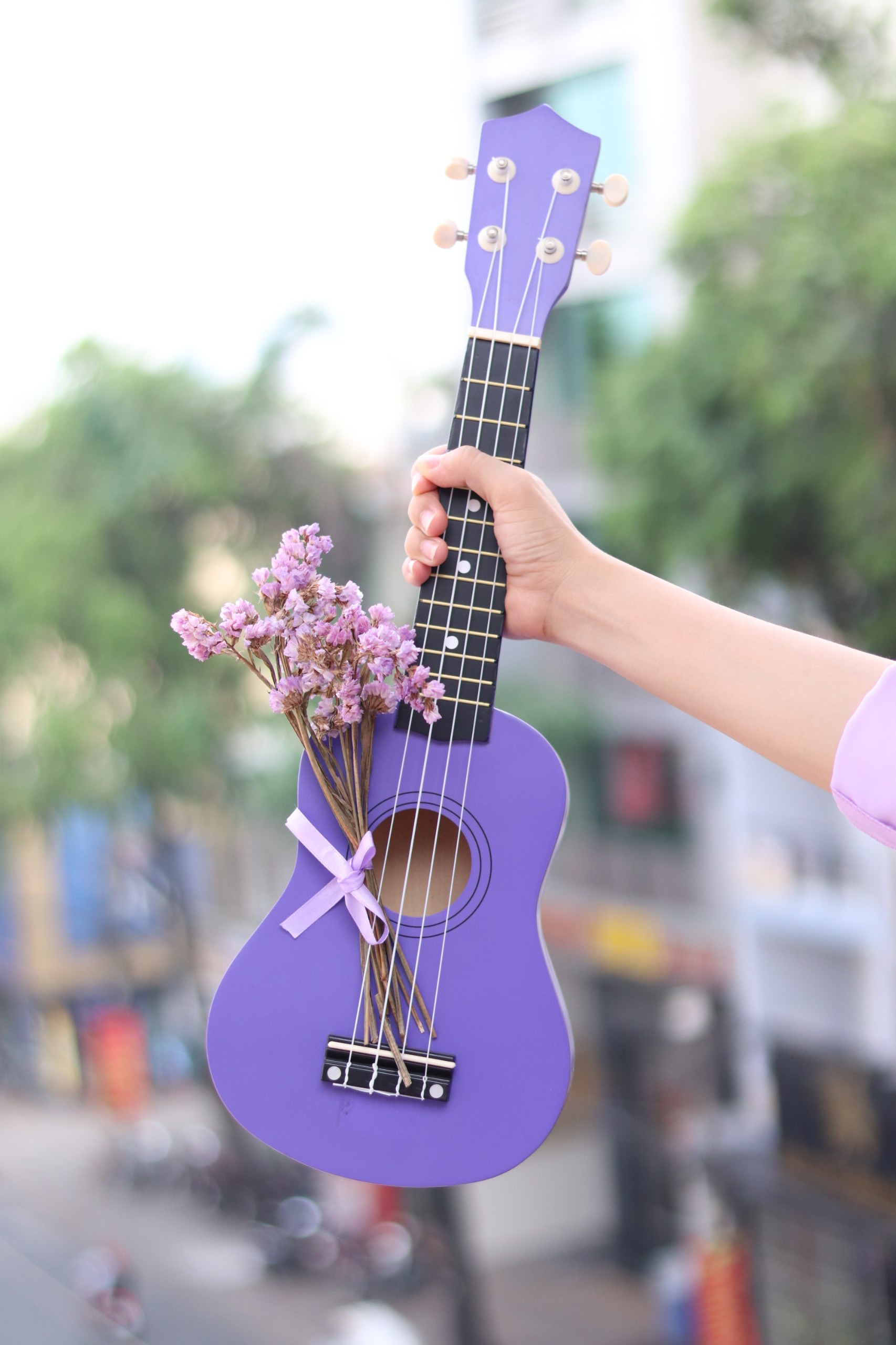 Địa điểm mua đàn Ukulele tại quận Tân bình TPHCM giá rẻ