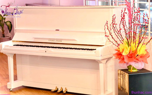 Địa điểm mua piano cơ uy tín