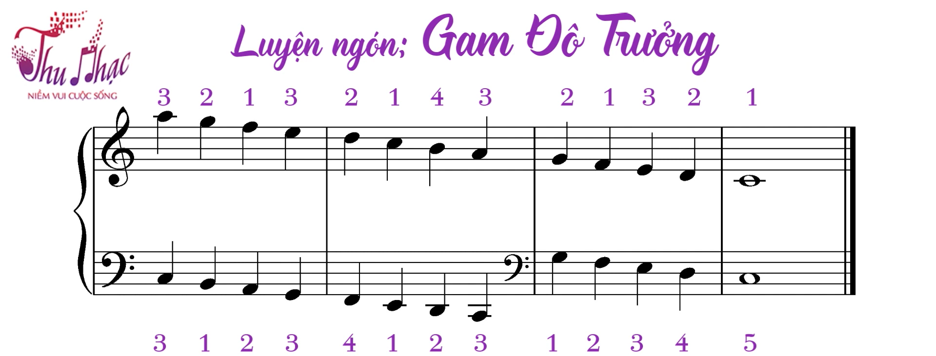 Luyện ngón gam đô trưởng 2 quãng 8