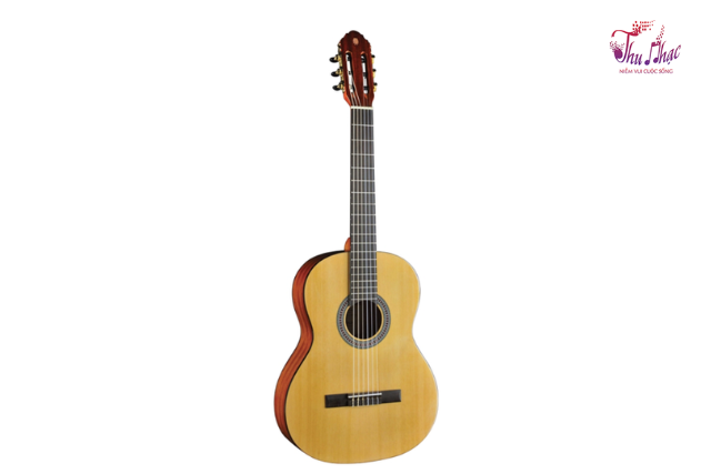 Mặt trước đàn guitar classic Eko Roberto V75 Vàng 3/4