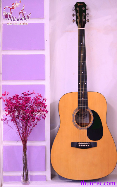 đàn guitar giá rẻ tại tphcm