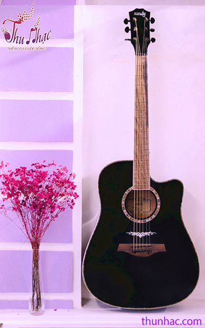 bán guitar uy tín tphcm