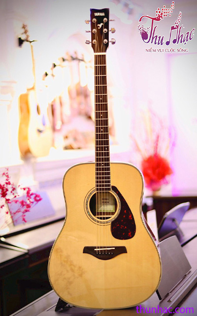 một số mẫu guitar acoustic