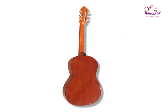 Mặt sau đàn guitar classic Eko Vibra-V100