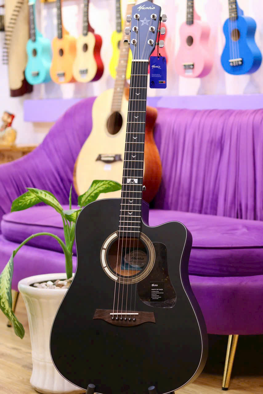 Mua đàn guitar Taylor cao cấp