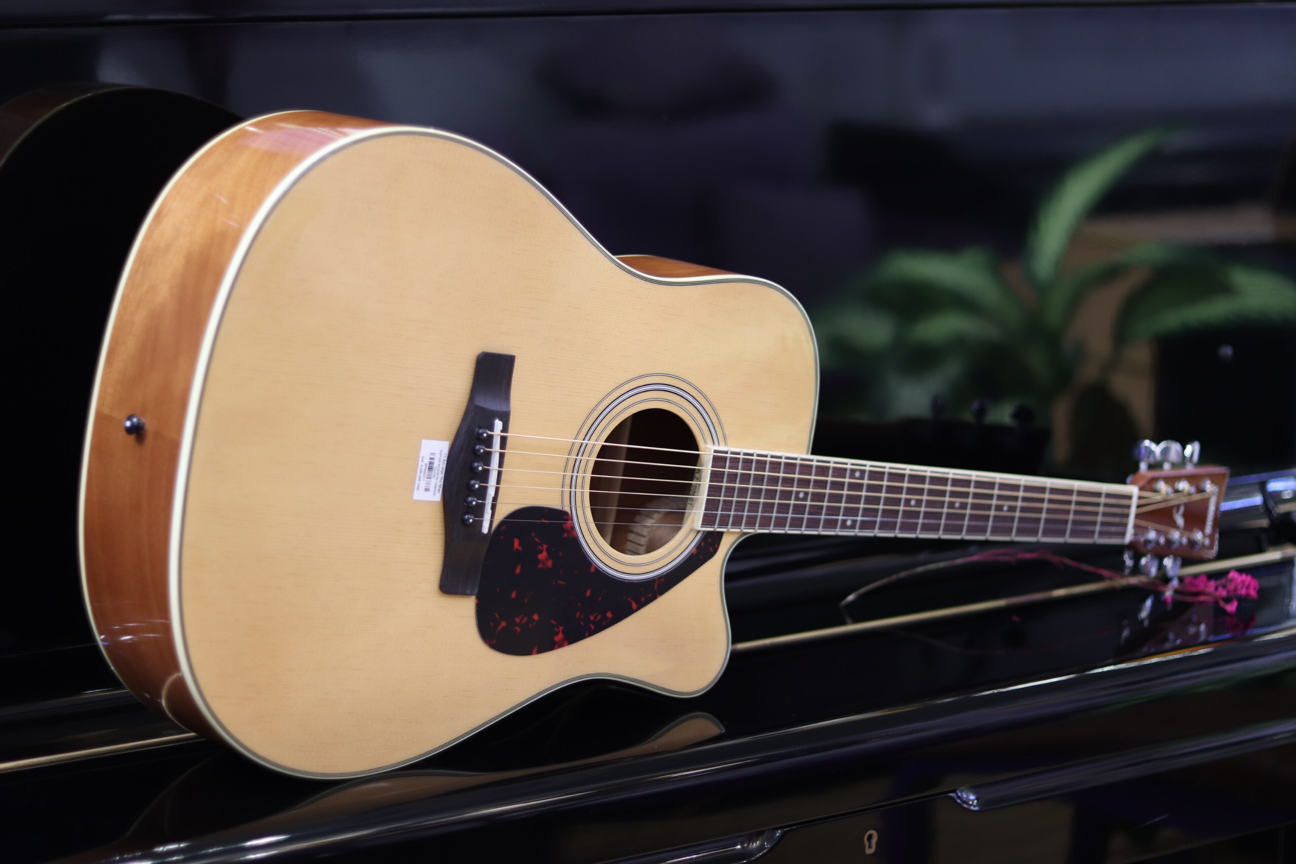 Mua đàn guitar yamaha cho người mới quận Tân Phú