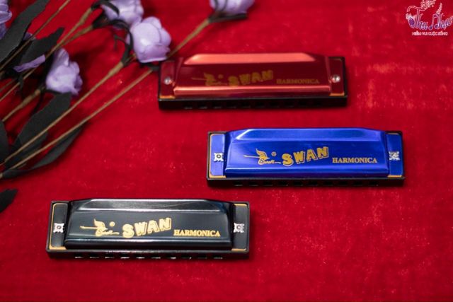 Kèn harmonica chất lượng