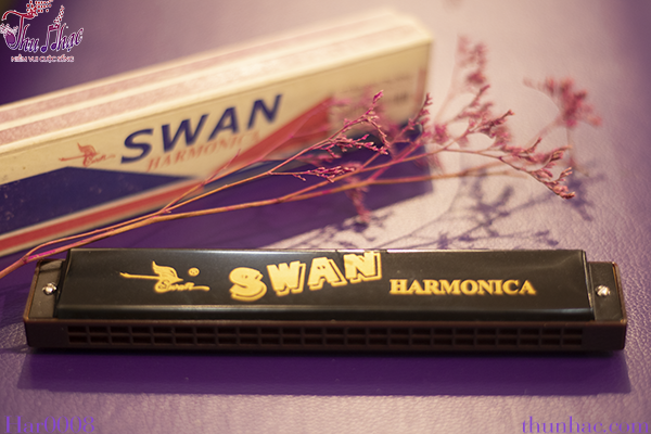 Mua kèn harmonica ở đâu rẻ