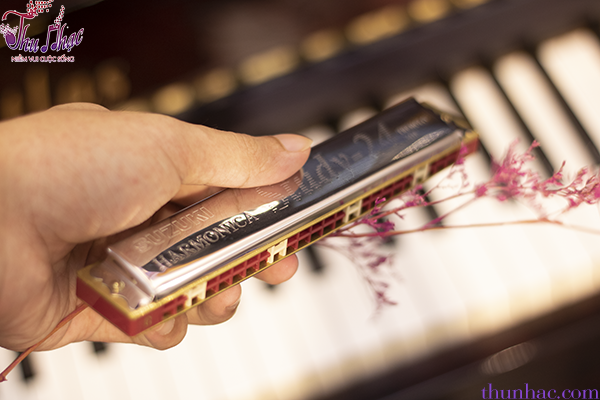 Mua kèn harmonica ở đâu rẻ