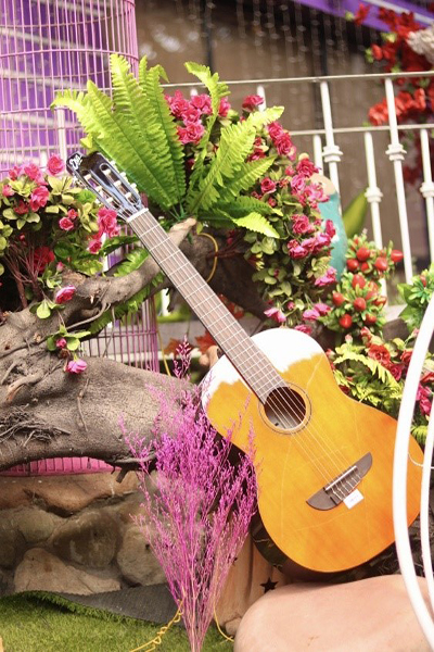 Đàn guitar Classic cổ điển tại Thu Nhạc quận Tân Phú