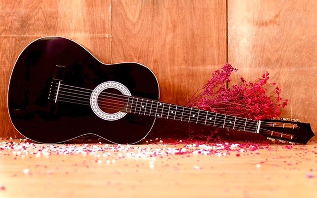 Một số mẫu Guitar Classic chất lượng tại Thu Nhạc Tân Phú.