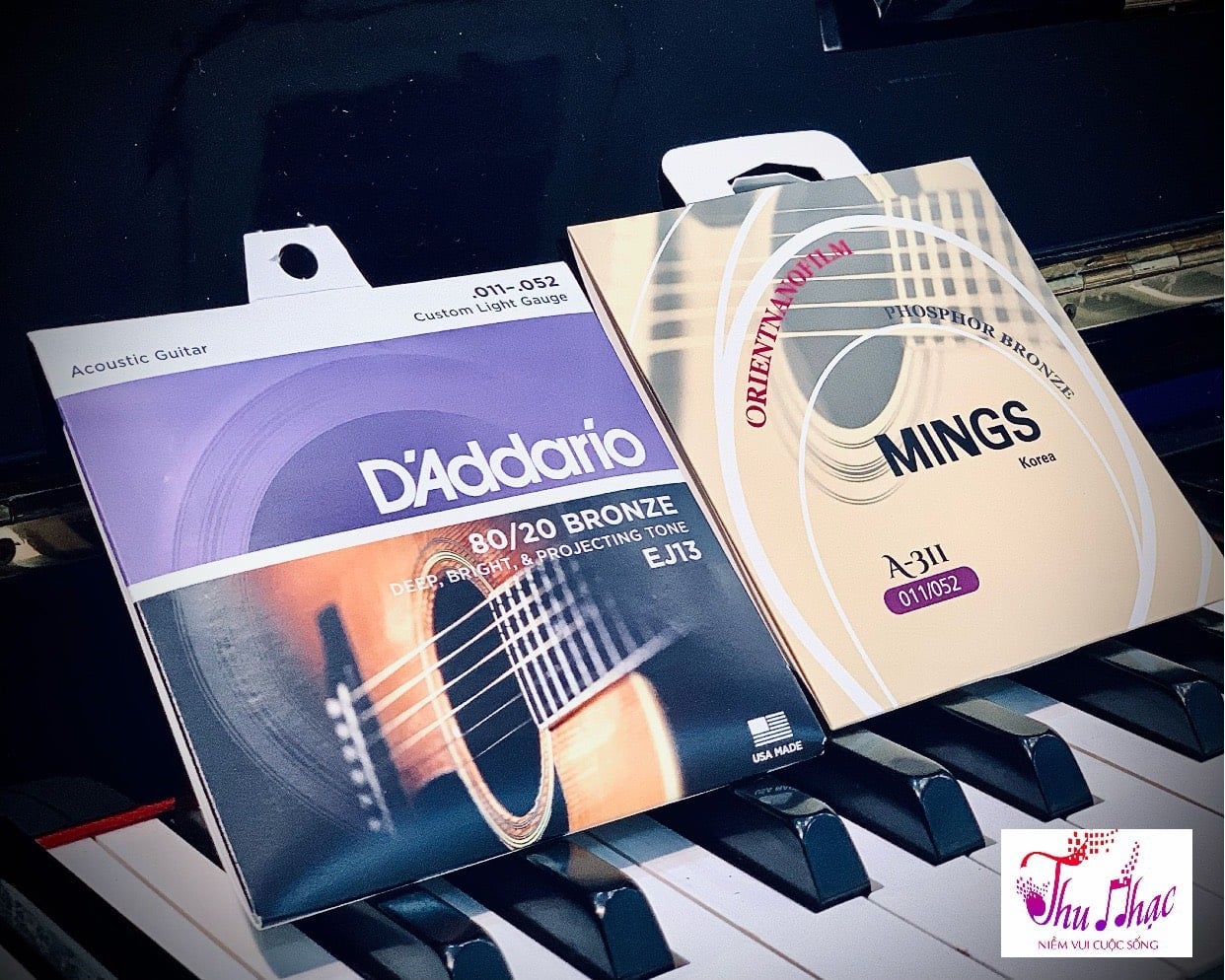 Địa điểm bán dây D’addario chất lượng, giá rẻ tại Thu Nhạc Tân Phú