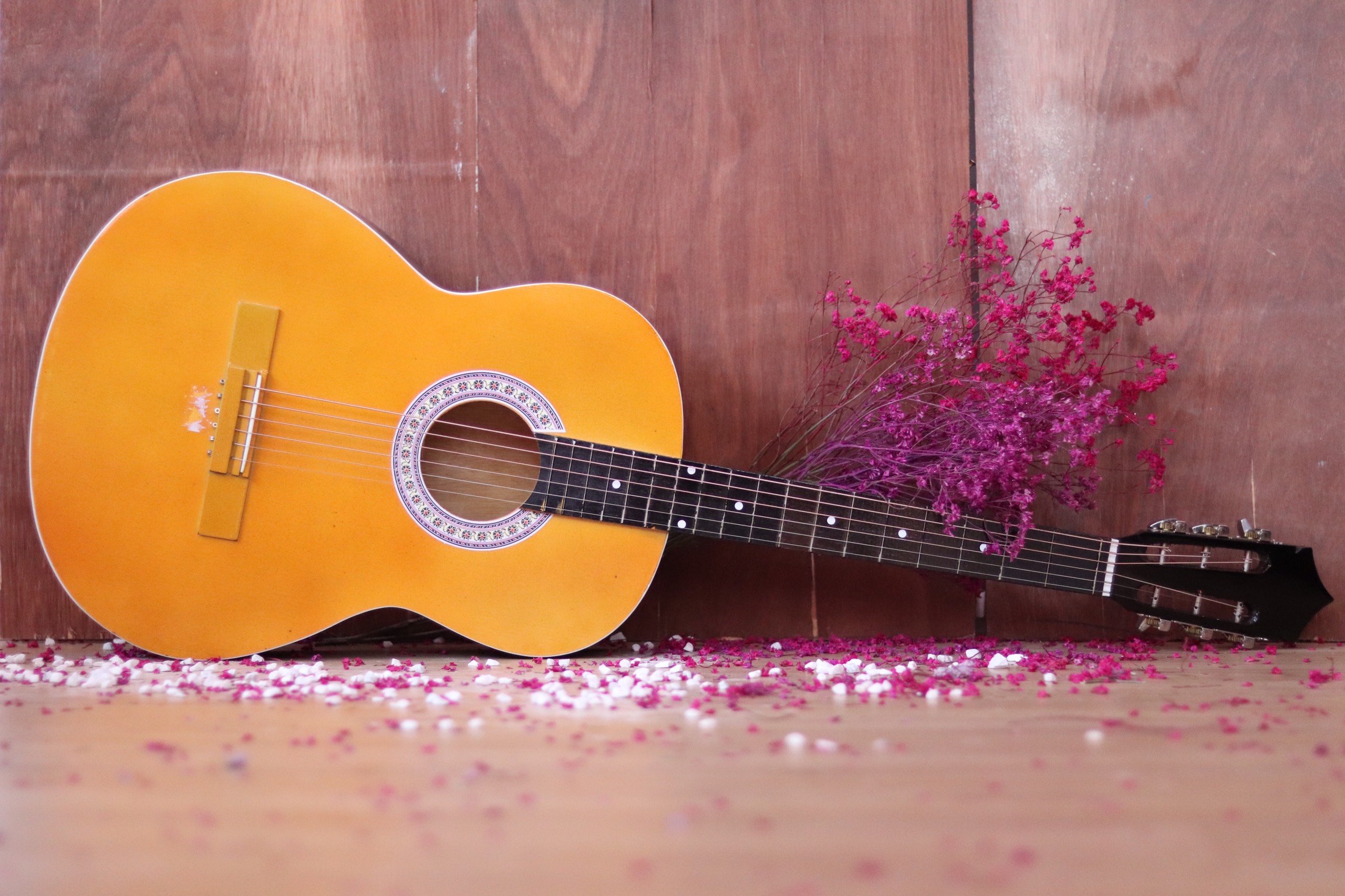 Chọn đàn guitar phù hợp với người mới