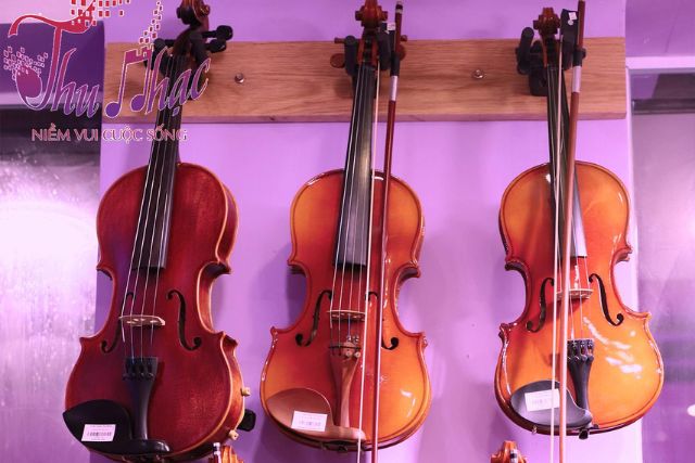 Cách lựa chọn đàn violin phù hợp cho người mới