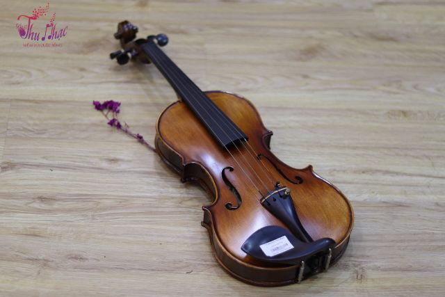 Mua đàn violin chính hãng