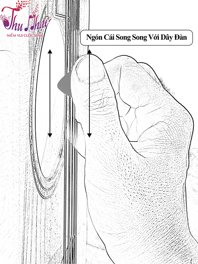 Cách chơi đàn guitar bằng phím gảy