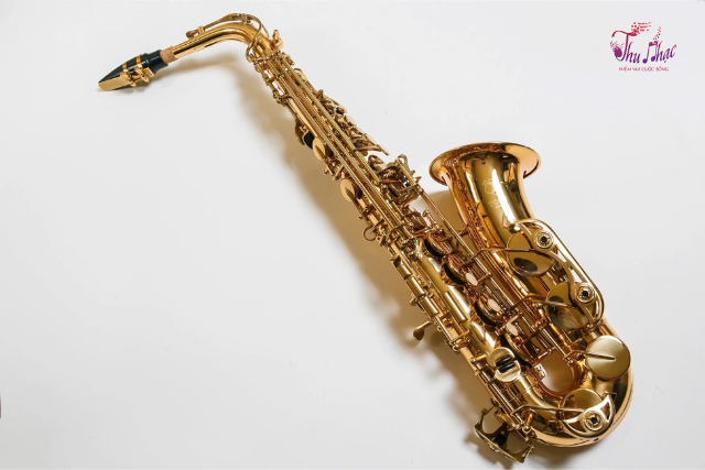 Kèn saxophone Tony bao nhiêu tiền?