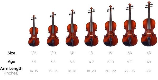 Phân loại đàn violin chính hãng