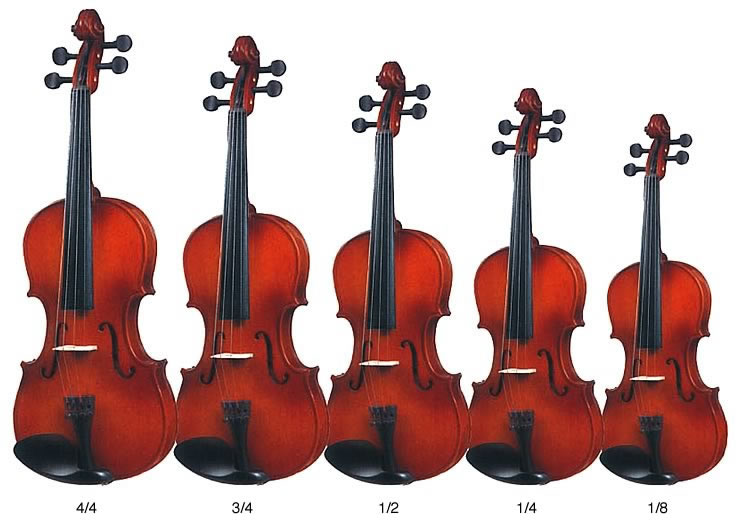 Phân loại họ đàn Violin