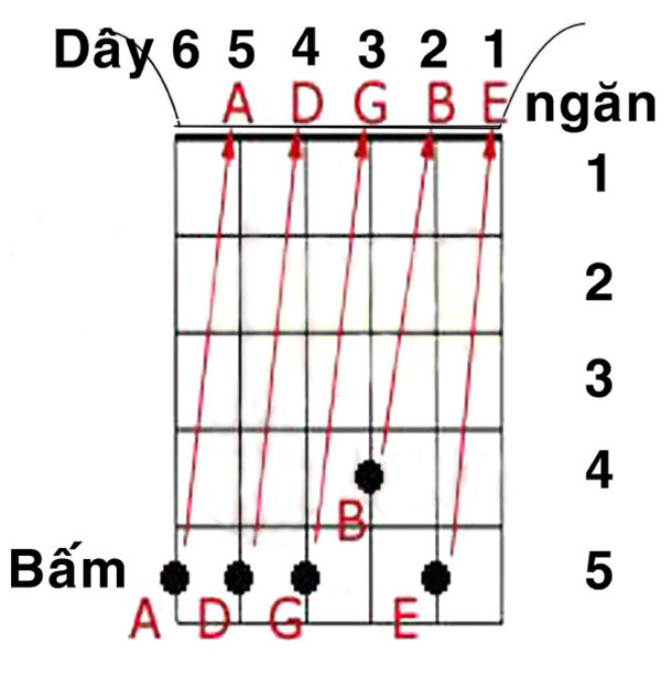 lên dây, căn chỉnh dây đàn Guitar đúng 