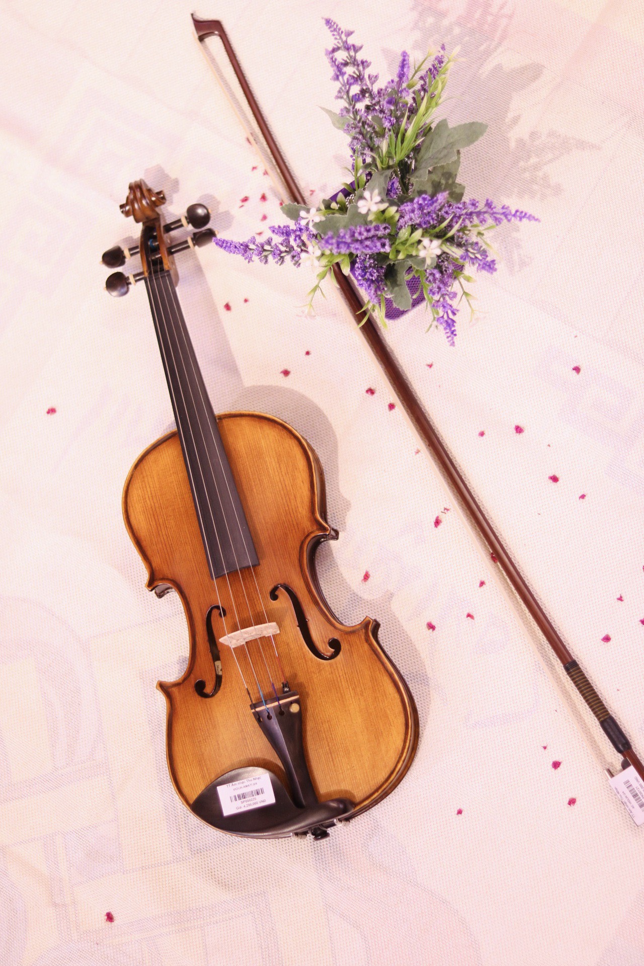 Địa điểm mua đàn violin trả góp lãi suất chỉ 0% tại tphcm