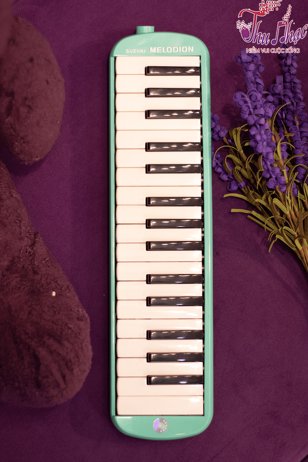 Mua kèn melodica suzuki quận 3 chính hãng
