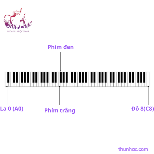 Giới thiệu phím đàn Piano